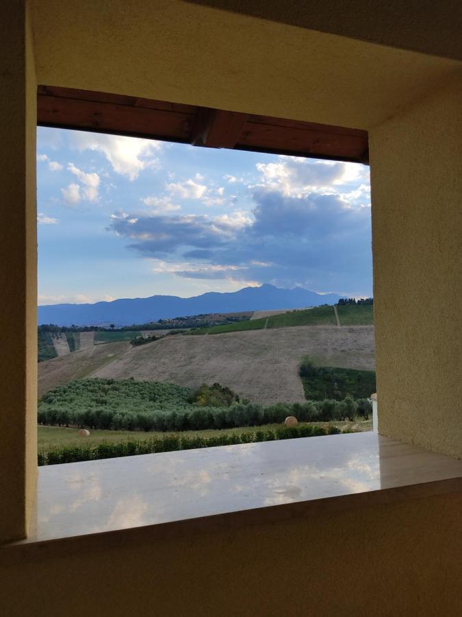 Agriturismo Terra Dei Falchi Castilenti エクステリア 写真
