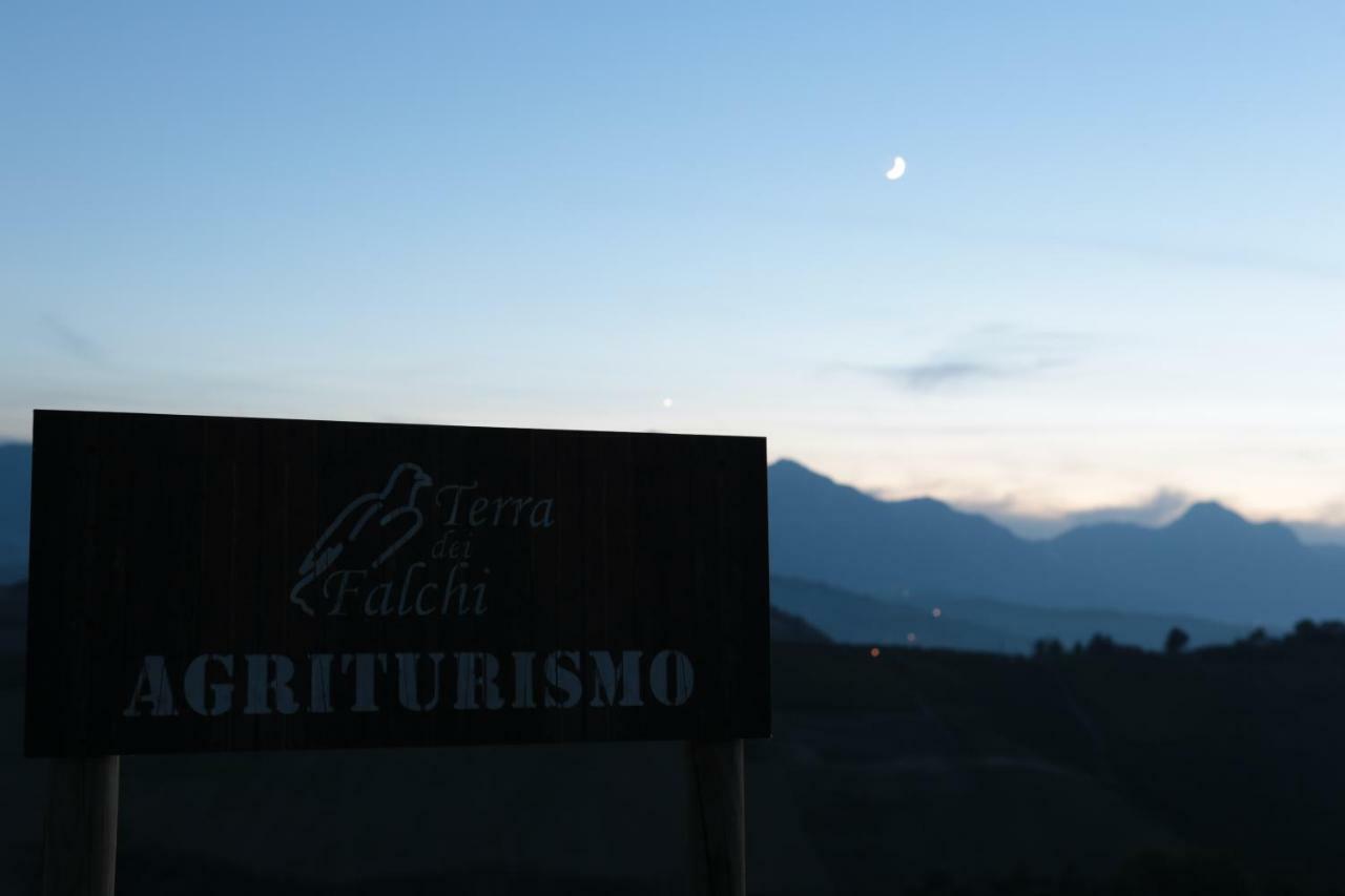 Agriturismo Terra Dei Falchi Castilenti エクステリア 写真